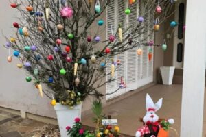 Sandra Assmann de Azevedo