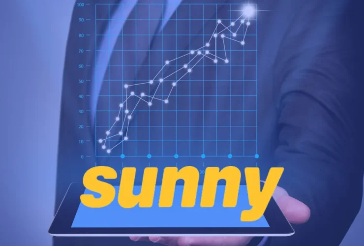 Empréstimo Sunny: Solução Instantânea